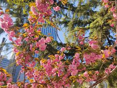 -瑞幸咖啡(大连罗斯福广场一层店)