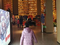 -深影国际影城(学院南路店CGS中国巨幕店)