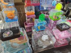 -中环花鸟鱼虫市场