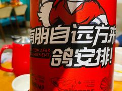 -鼎原力量东北吊炉烧烤(幸福街店)