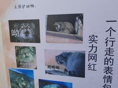 -青藏高原野生动物园