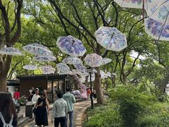 -无锡蠡湖国家湿地公园-蠡园