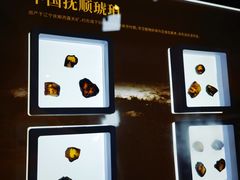 -中华赏石园
