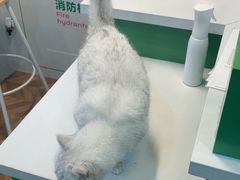 -锐动健身游泳(博地中心店)