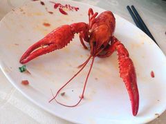 -小李子油焖大虾(天下城旗舰店)