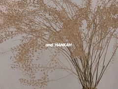 景观位-长春银盐咖啡馆