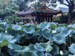 -绍兴鲁迅故里·沈园景区