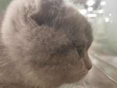 -宠物世家(仲盛世界商城店)