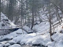 -峡谷浮石林景区