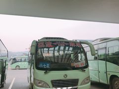 -荔波汽车客运总站
