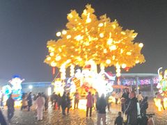 -武汉园博园(武汉自然博物馆)