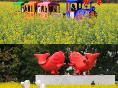 -光明小镇欢乐田园