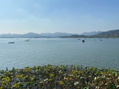 -湖畔居茶楼(湖滨店)