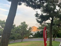 -棒棰岛宾馆景区
