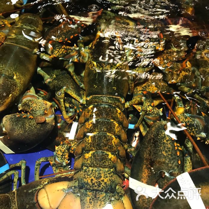 椰林2号海鲜码头