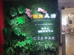 -西施无菌半永久纹绣眉眼影唇轻增发纹发际线