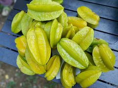 -新塘水果乐园(东洲大道店)