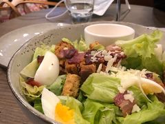 凯撒沙拉-Wagas沃歌斯(富力广场店)