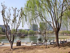 -西海子公园