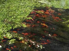 -水磨沟公园