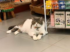 -解忧集市(北京路天河城店)