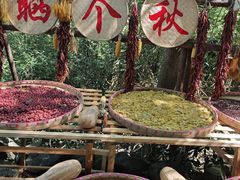 -天目湖山水园
