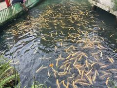 -本溪水洞