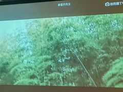 -唐宫足道·SPA·影院会馆(木渎店)