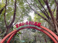 -广州长隆野生动物世界
