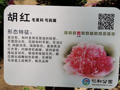 -仁和公园(顺义区)