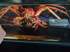 -同济大学四平路校区深海探索馆