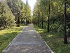 -洛阳市隋唐城遗址植物园