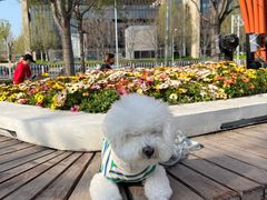 -元大都城垣遗址公园