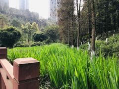 -重庆彩云湖湿地公园