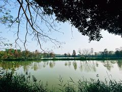 -大湾区中央湿地公园