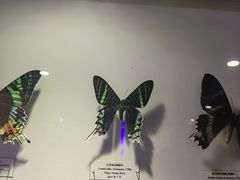 -吉林省自然博物馆