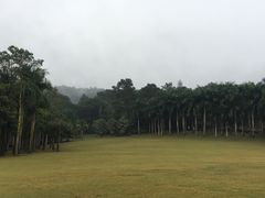 -南宁良凤江国家森林公园