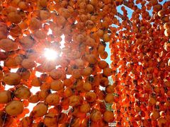 -于家石头村景区