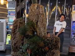 -都江堰石锅鱼