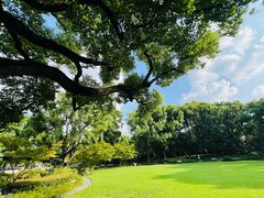 -申粤轩酒楼·三十年粤菜经典(丁香花园店)