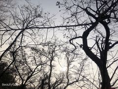 -南京市江宁方山