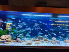 -味界·精致赣菜(招商花园城店)