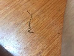 -梧桐面馆桐乡阿能面店(印象城店)