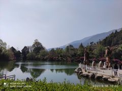 -蝴蝶泉公园