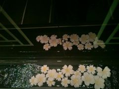 -Dragonfly悠庭·按摩Spa(静安嘉里中心店)