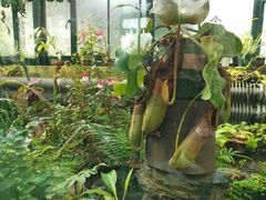 -国家植物园南园