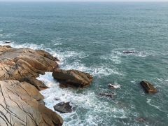-广东惠东海龟国家级自然保护区