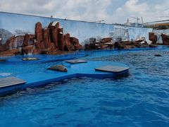 -上海海昌海洋公园