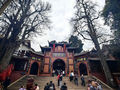 -青城甲(青城山店)