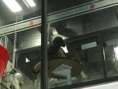 -帕帕拉兹宠物(亚洲旗舰店)